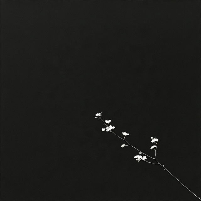 Monochromancy style, Midjourney V8.2, render 2 of 4