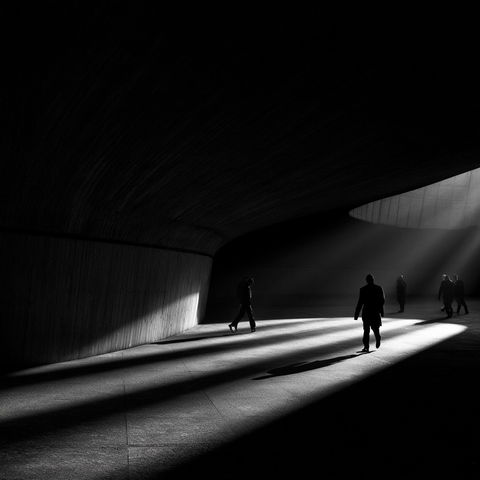 Alan Schaller style (Photographers), Midjourney V8.2