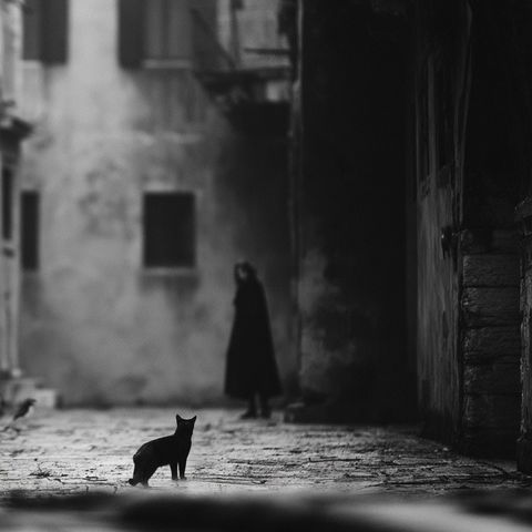 Ando Fuchs style (Photographers), Midjourney V8.2