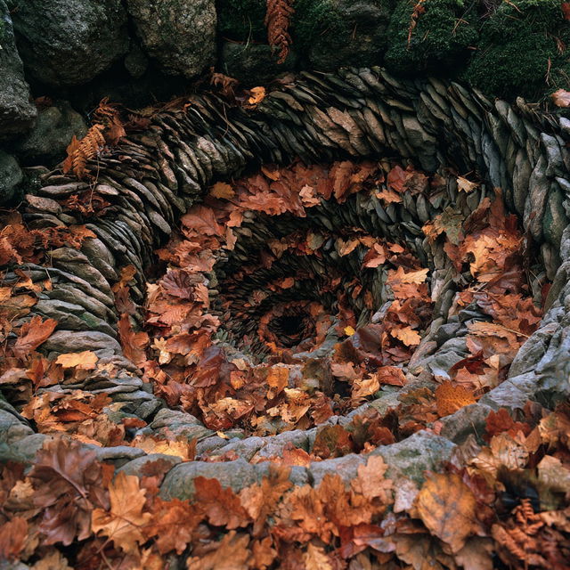 Andy Goldsworthy style, Midjourney V8.2, render 4 of 4