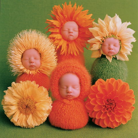 Anne Geddes style (Photographers), Midjourney V8.2