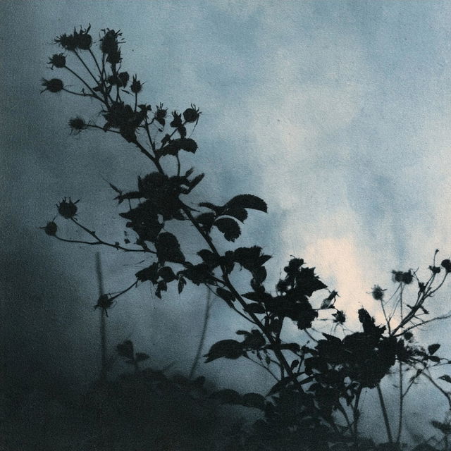 Aquatint print style, Midjourney V8.2, render 4 of 4