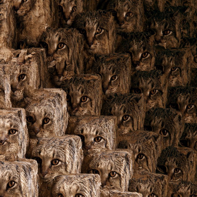 Autostereogram style, Midjourney V8.2, render 3 of 4