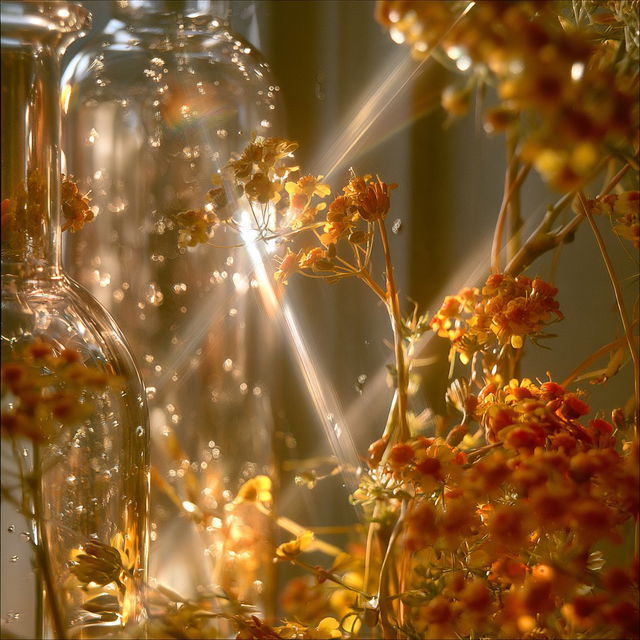 Hothouse Phantasmagoria style, Midjourney V8.2, render 1 of 4
