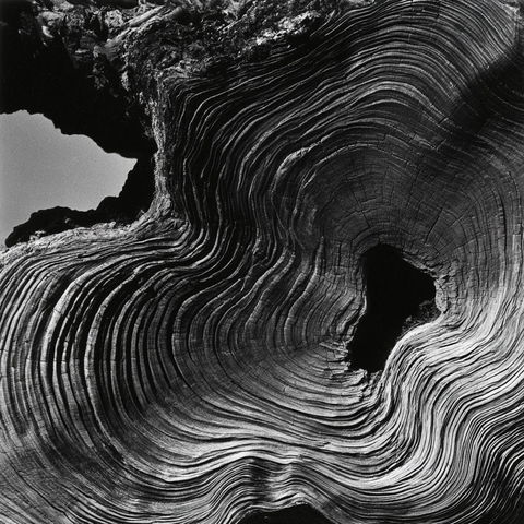 Brett Weston style (Photographers), Midjourney V8.2