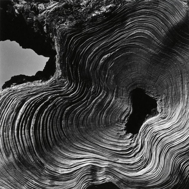 Brett Weston style, Midjourney V8.2, render 1 of 4