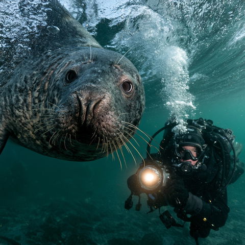 Brian Skerry style (Photographers), Midjourney V8.2