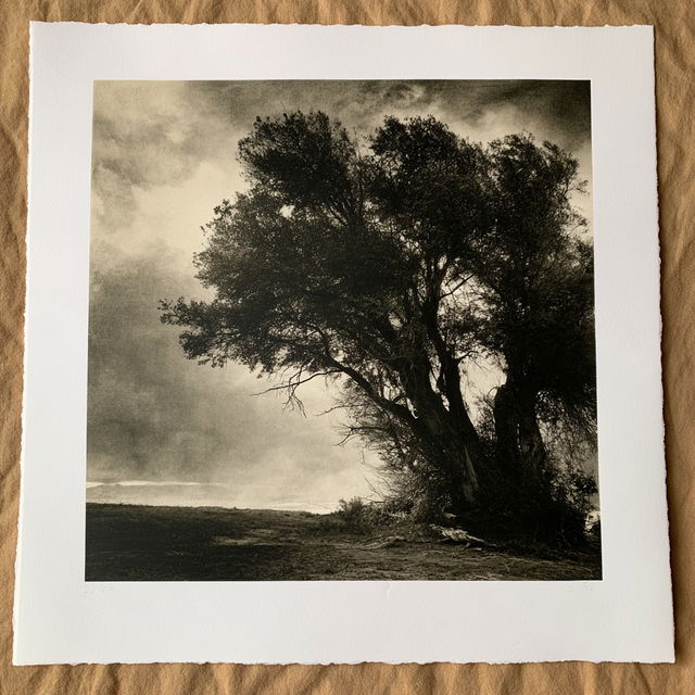 Bromoil print style, Midjourney V8.2, render 2 of 4