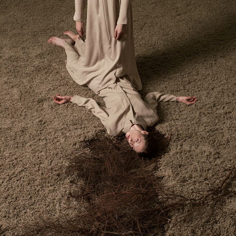 Brooke DiDonato style (Photographers), Midjourney V8.2