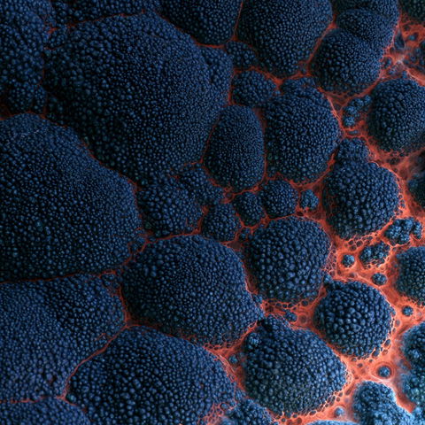 Bumpy texture style (Modifiers), Midjourney V8.2
