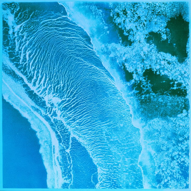 Cyanotype Biomorphics style, Midjourney V8.2, render 2 of 4
