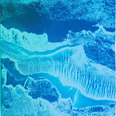 Cyanotype Biomorphics style (SREF codes), Midjourney V8.2