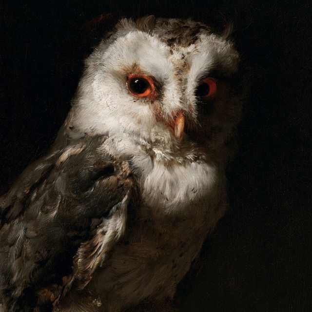 Carel Fabritius style, Midjourney V8.2, render 3 of 4