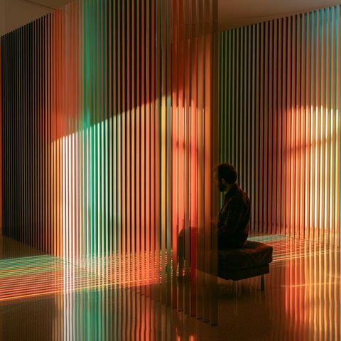 Carlos Cruz-Diez style (Painters), Midjourney V8.2