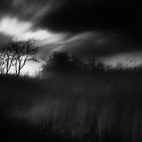 Chris Friel style (Photographers), Midjourney V8.2