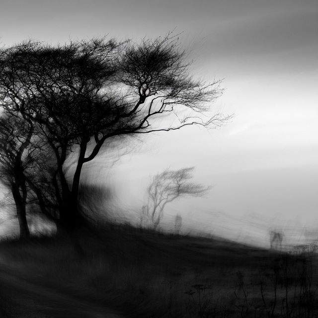 Chris Friel style, Midjourney V8.2, render 4 of 4