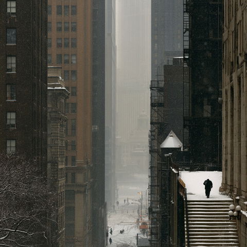 Christophe Jacrot style (Photographers), Midjourney V8.2