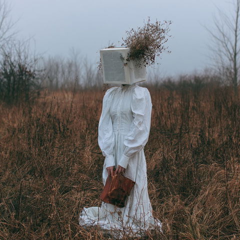 Christopher Ryan McKenney style (Photographers), Midjourney V8.2