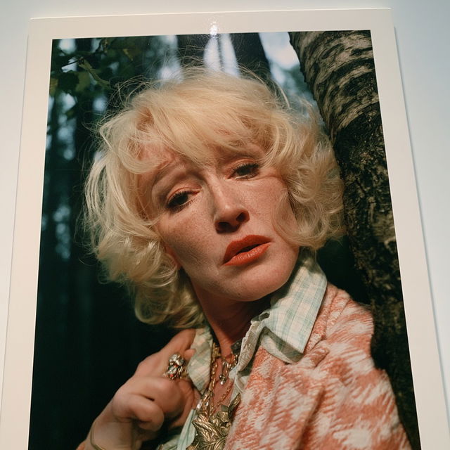 Cindy Sherman style, Midjourney V8.2, render 2 of 4