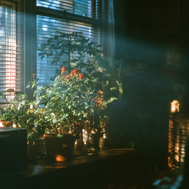 CineStill 50 style, Midjourney V8.2, render 3 of 4