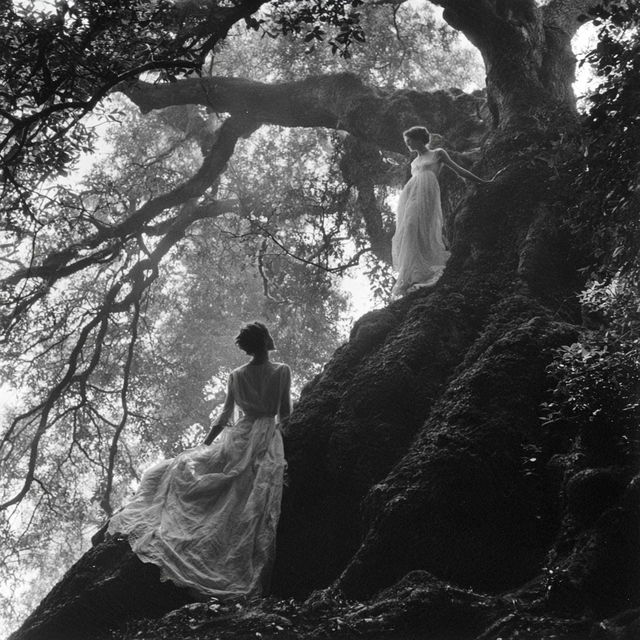 Clarence John Laughlin style, Midjourney V8.2, render 4 of 4