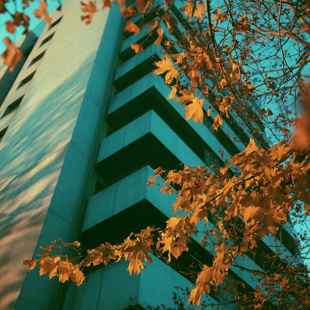 Cross processing print style, Midjourney V8.2, render 3 of 4