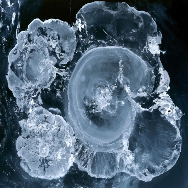 Cryotopographica style, Midjourney V8.2, render 3 of 4