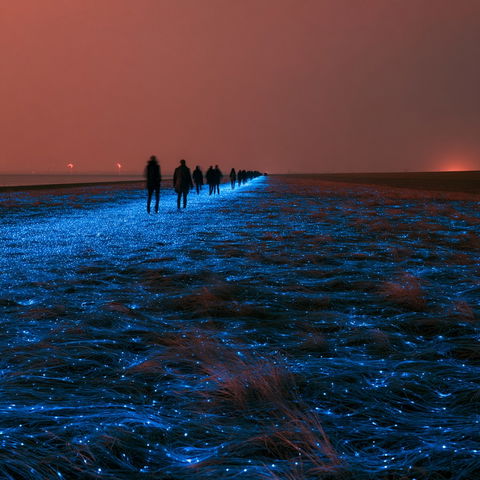 Daan Roosegaarde style (Various), Midjourney V8.2