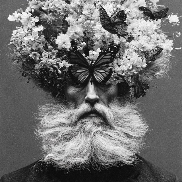 Dan Hillier style, Midjourney V8.2, render 1 of 4