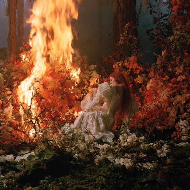 David LaChapelle style, Midjourney V8.2, render 4 of 4
