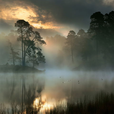 David Mould style (Photographers), Midjourney V8.2