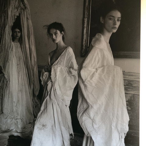 Deborah Turbeville style (Photographers), Midjourney V8.2