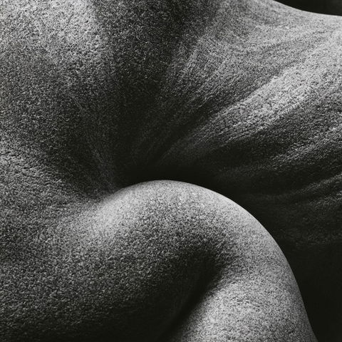 Edward Weston style (Photographers), Midjourney V8.2