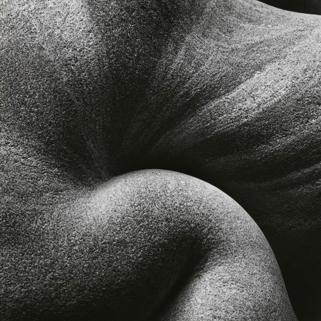 Edward Weston style, Midjourney V8.2, render 1 of 4