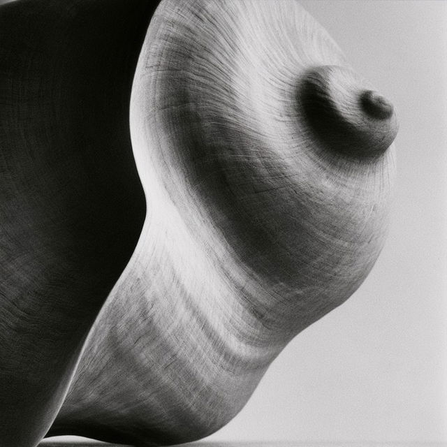 Edward Weston style, Midjourney V8.2, render 3 of 4