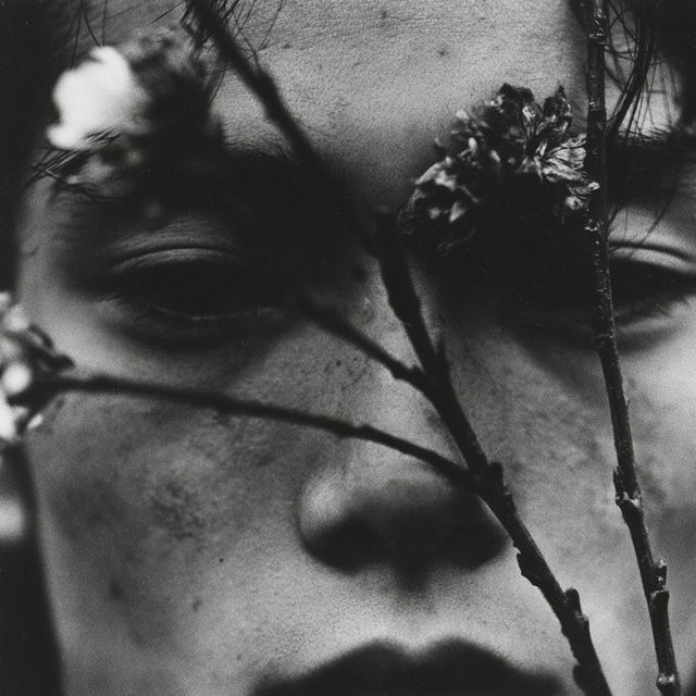 Eikoh Hosoe style, Midjourney V8.2, render 1 of 4