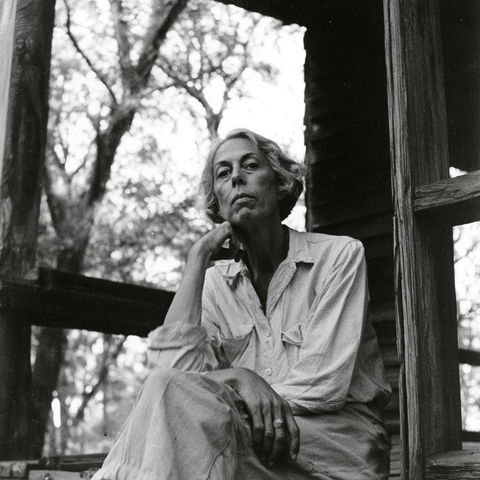 Eudora Welty style (Photographers), Midjourney V8.2