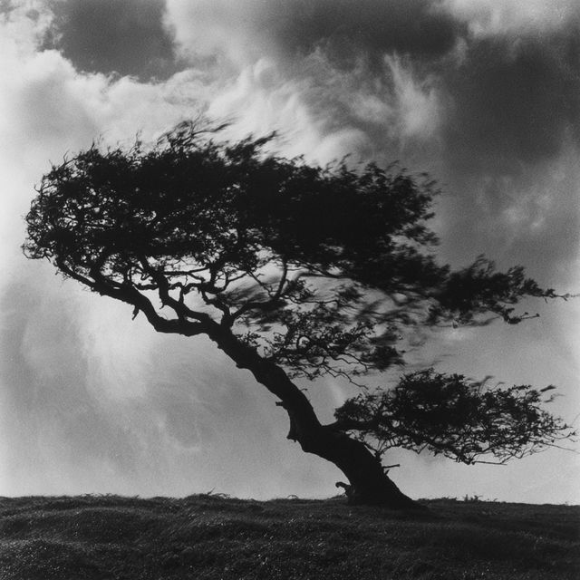 Fay Godwin style, Midjourney V8.2, render 1 of 4