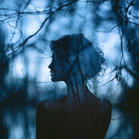 Felicia Simion style (Photographers), Midjourney V8.2