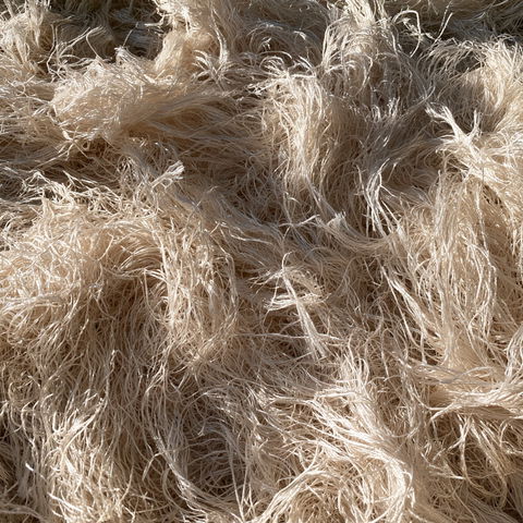 Fibrous texture style (Modifiers), Midjourney V8.2