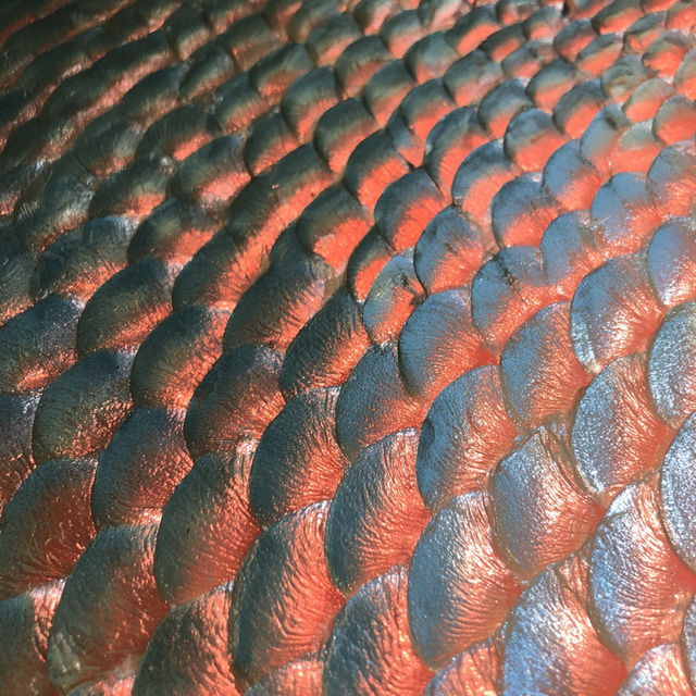 Fish scale texture style, Midjourney V8.2, render 2 of 4