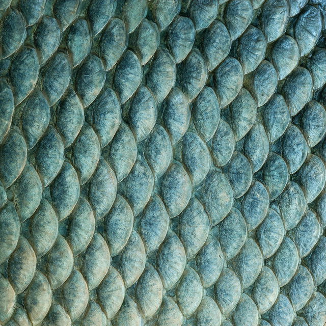 Fish scale texture style, Midjourney V8.2, render 1 of 4