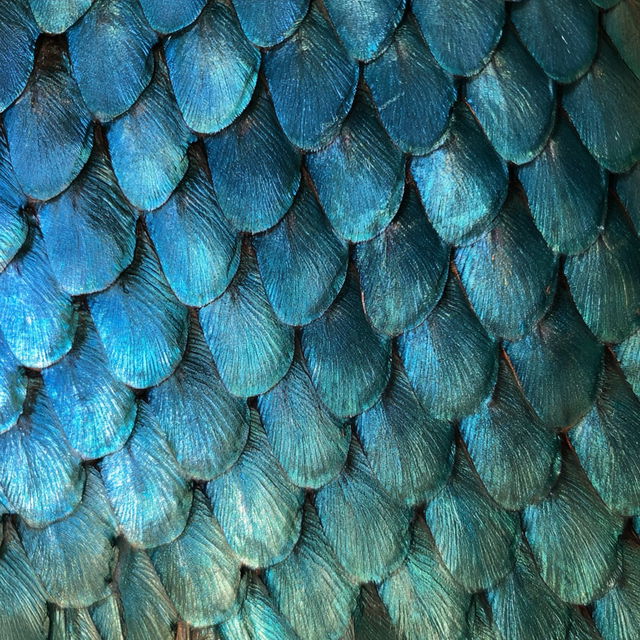 Fish scale texture style, Midjourney V8.2, render 3 of 4