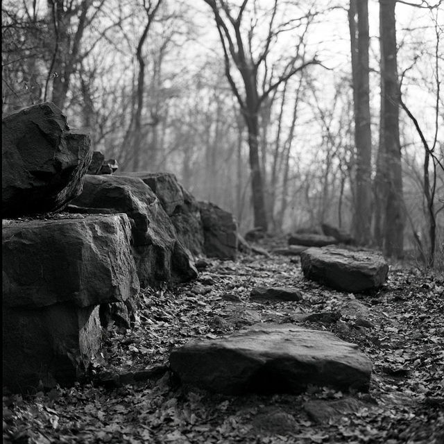 Fomapan 400 style, Midjourney V8.2, render 4 of 4