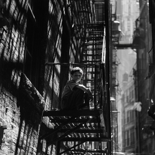 Fred Stein style, Midjourney V8.2, render 1 of 4