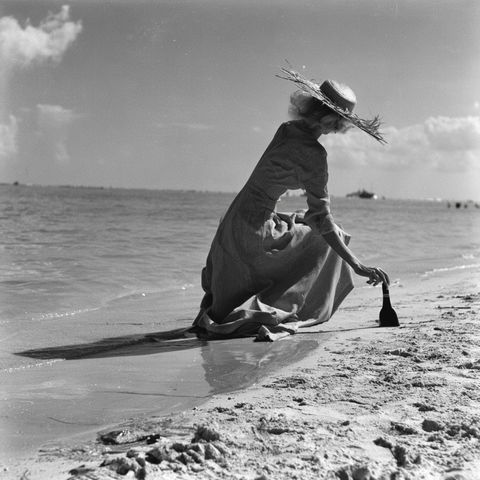 Fritz Henle style (Photographers), Midjourney V8.2