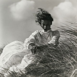 Fritz Henle style, Midjourney V8.2, render 4 of 4