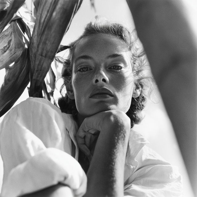 Fritz Henle style, Midjourney V8.2, render 3 of 4