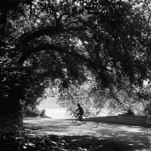 Fujifilm Neopan 100 style, Midjourney V8.2, render 3 of 4