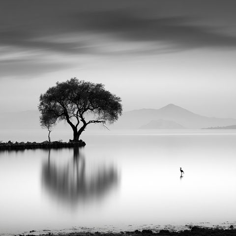 George Digalakis style (Photographers), Midjourney V8.2